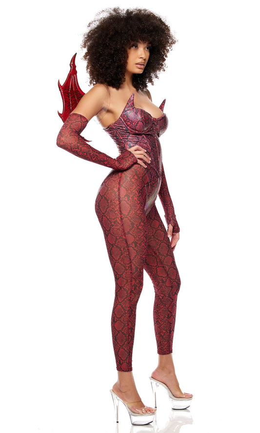 Slay Me Dragon Halloween Costume