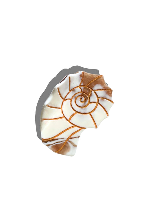 Solar Eclipse Golden Sand Sundial Shell Claw Clip