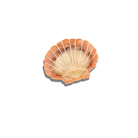 Solar Eclipse Sunset Seashell Claw Clip