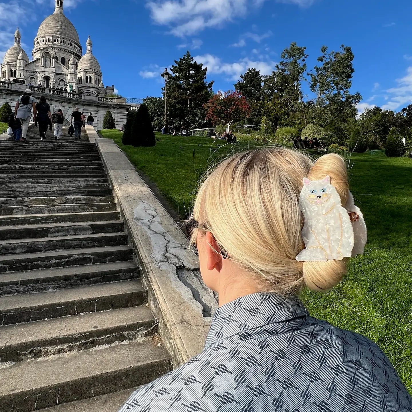 Solar Eclipse White Persian Cat Claw Clip
