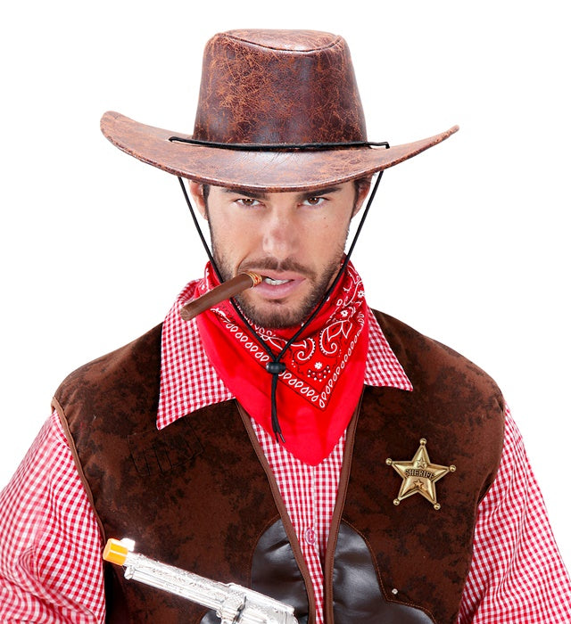 Gold Sheriff Star Badge