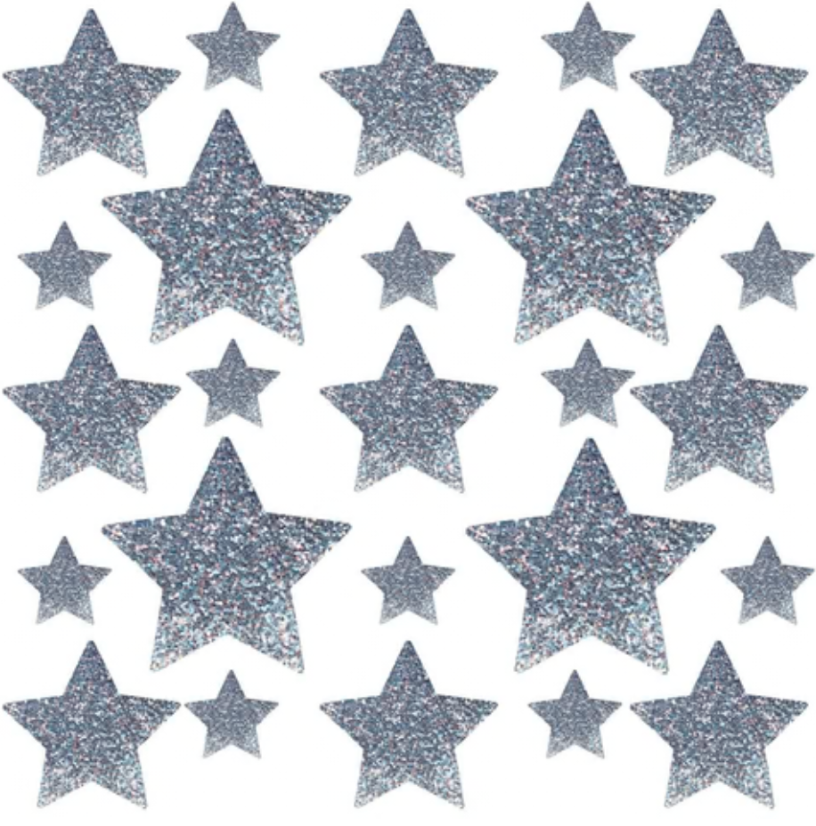 Neva Nude Meteoric Madness Grey Sparkle Glitter to Blue Reflective Starry Nights Nipple Sticker Crop Top