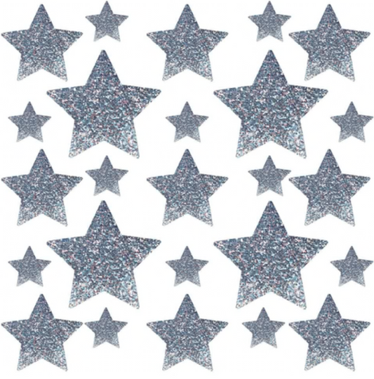 Neva Nude Meteoric Madness Grey Sparkle Glitter to Blue Reflective Starry Nights Nipple Sticker Crop Top