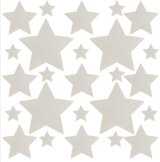 Neva Nude Reflective Starry Nights Nipple Sticker Crop Top