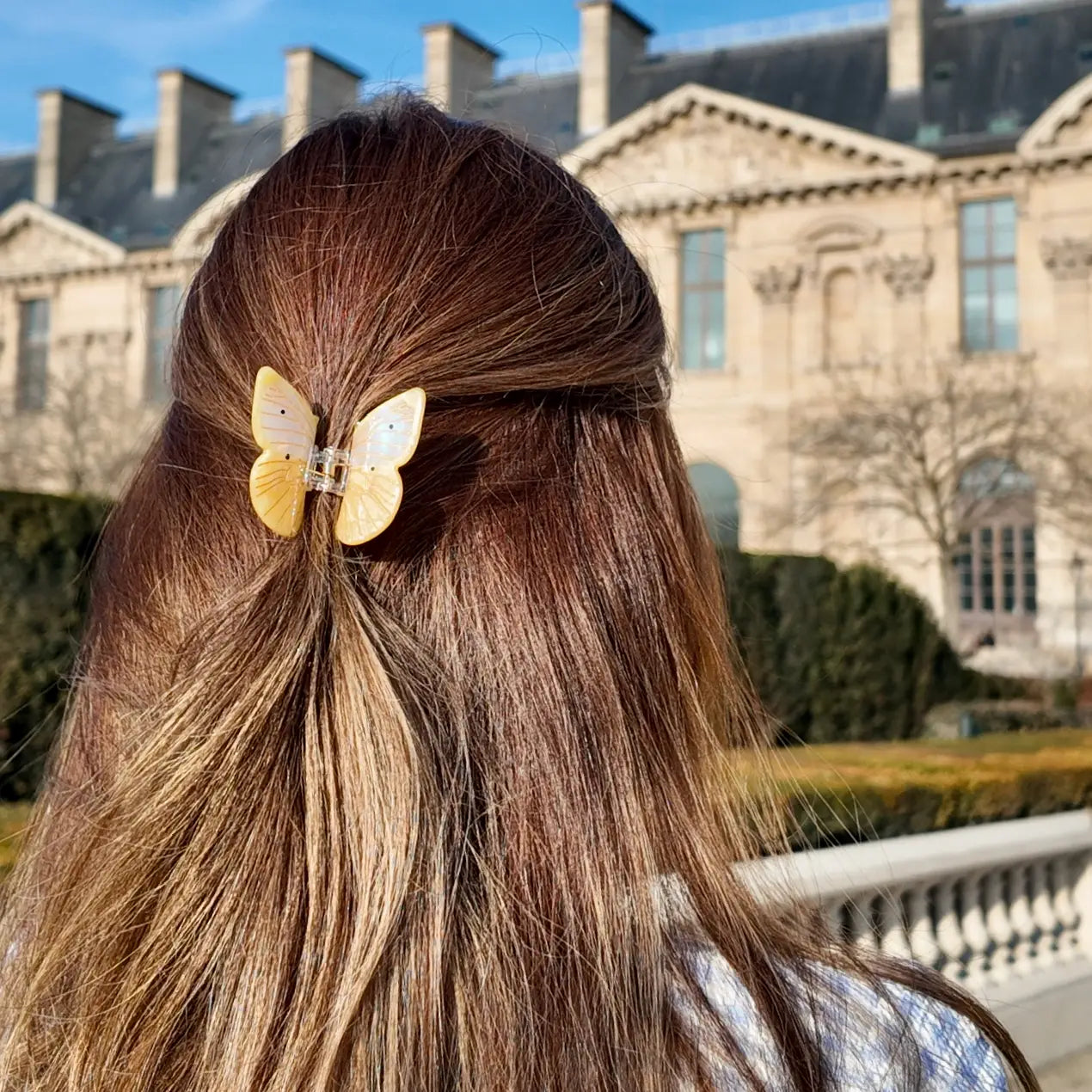 Solar Eclipse Cabbage Butterfly Claw Clip