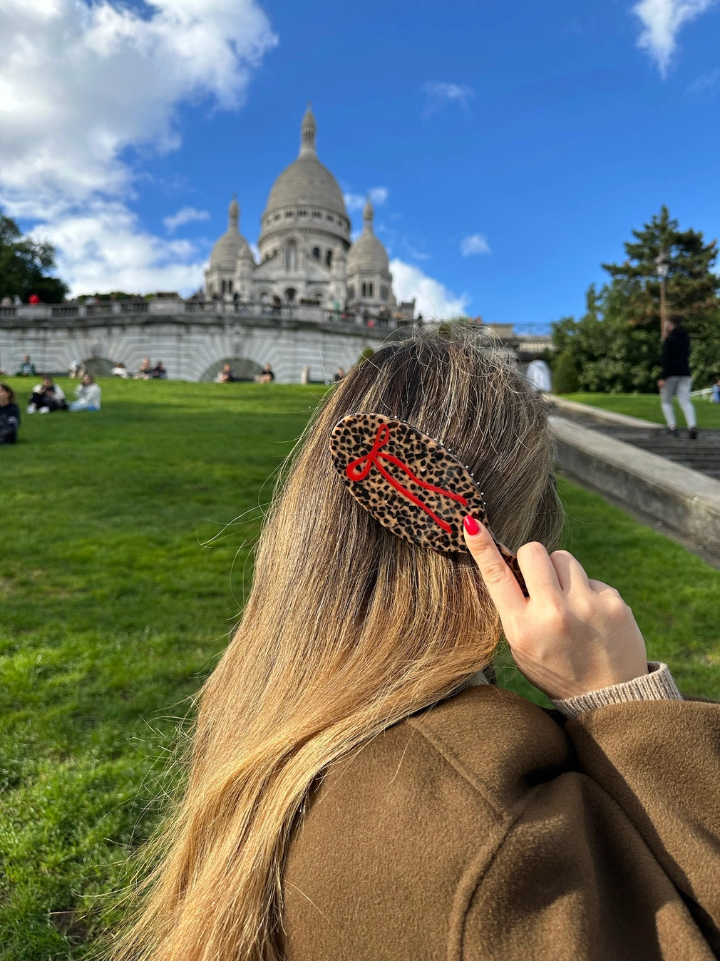 Solar Eclipse Leopard Hairbrush