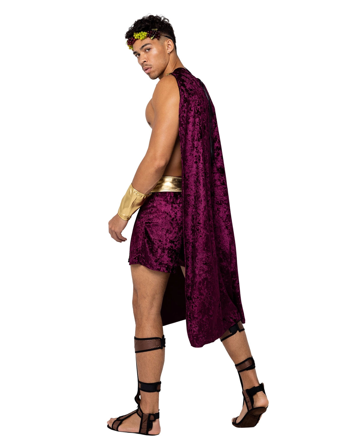 God of Wine Mens Costume